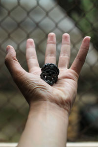 Close-up of person holding hand