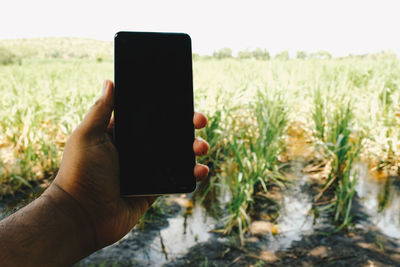 Cropped hand of person holding mobile phone in farm