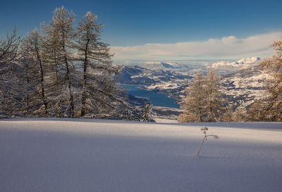 Snow covered road by trees against sky and lake