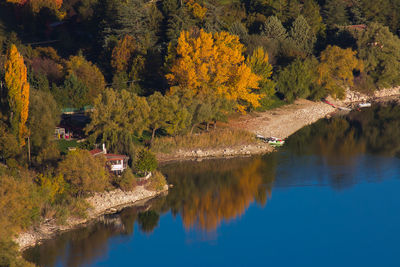 Scenic view of lake by trees during autumn