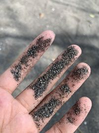 Close-up of hand holding leaf