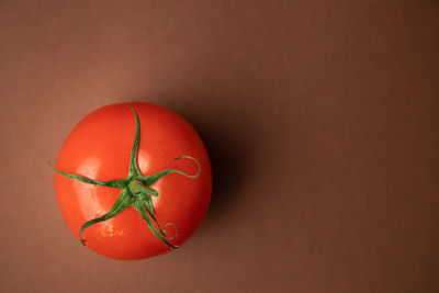 Close-up of tomatoes against orange background