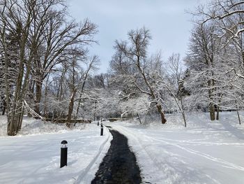 snow