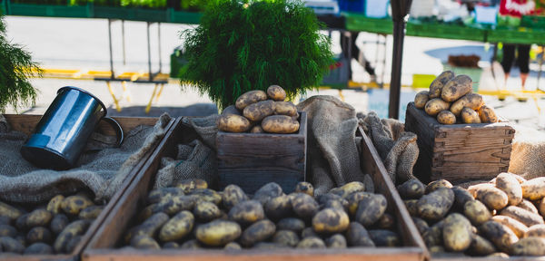 Close-up of vegetables for sale