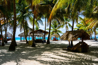 Palm trees on beach against sky