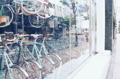 Bicycles on window