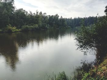 Scenic view of lake in forest against sky