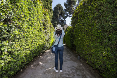 Rear view of woman standing amidst plants