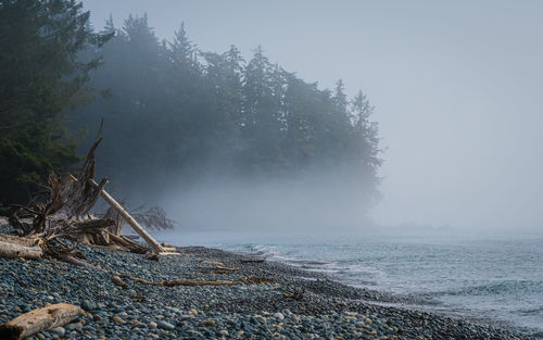 Scenic view of sea during foggy weather