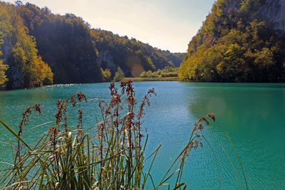 Quiet scenic landscape at plitvice national park in croatia