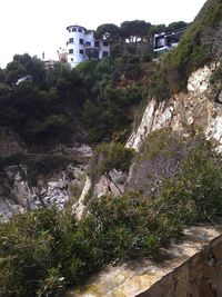 High angle view of plants and buildings against sky