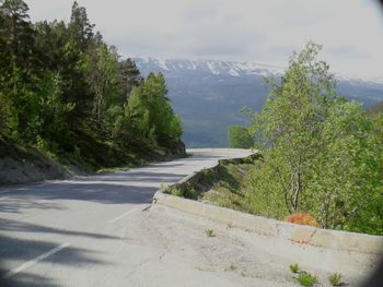 Road by trees against sky