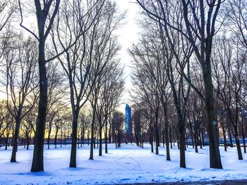 Trees on snow covered landscape