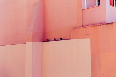Low angle view of pink wall by window on building