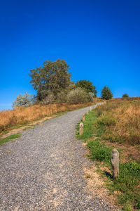 Road amidst trees against clear blue sky