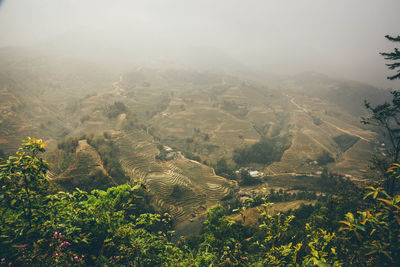 Scenic view of rice terrace during foggy weather