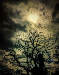 Low angle view of silhouette tree against sky