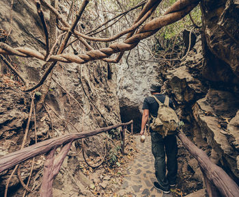 Rear view of people walking in forest