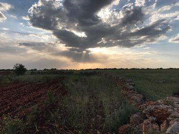 Scenic view of field against sky during sunset