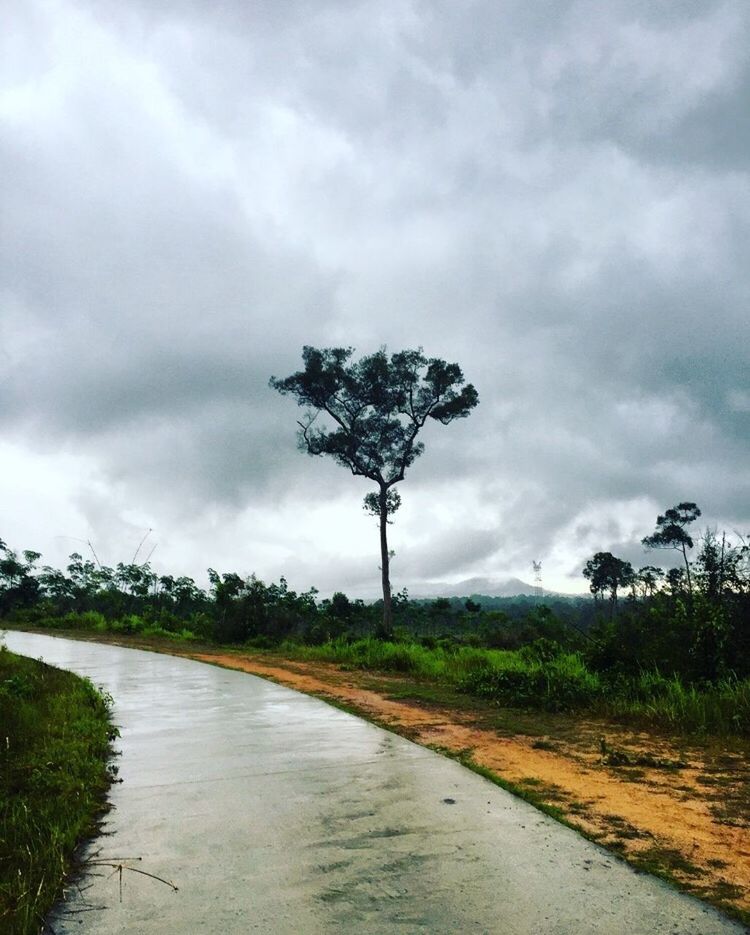 ROAD BY TREE AGAINST SKY