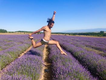 Jump in the lavender