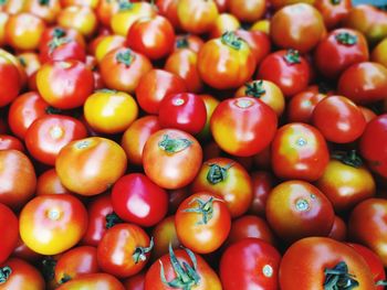 Full frame shot of tomatoes