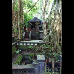 Built structure in forest