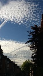 Low angle view of trees against sky