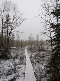 Snow covered road amidst trees against sky