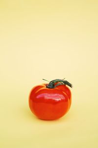 Close-up of tomatoes against white background