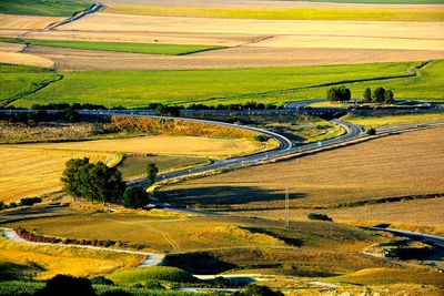 High angle view of agricultural field