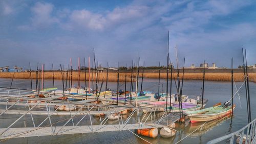 Sailboats moored at harbor against sky