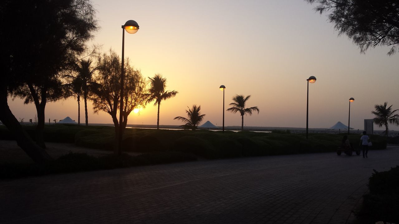 tree, street light, sky, sunset, road, the way forward, clear sky, silhouette, palm tree, street, lighting equipment, transportation, incidental people, lamp post, tranquility, nature, road marking, outdoors, treelined, dusk