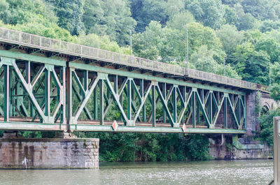 Bridge over river in forest