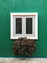 Close-up of window on wall of building