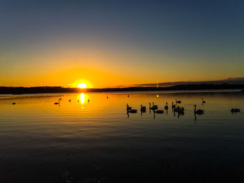 Swans swimming in lake against orange sky during sunset