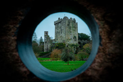 Trees seen through hole of building