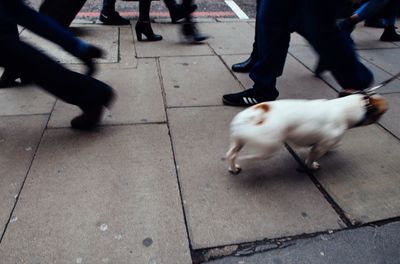 Low section of people walking on railroad station platform