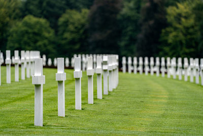 Close-up of fence on field