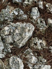 rock