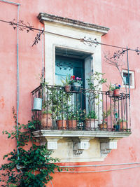 Low angle view of potted plants on building balcony