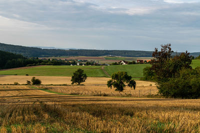 Scenic view of agricultural field against sky