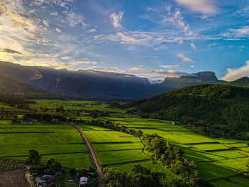 Scenic view of agricultural field against sky