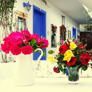 Close-up of potted plant