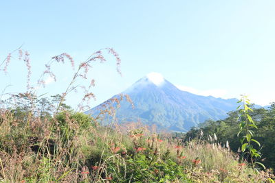 Scenic view of mountains against clear sky