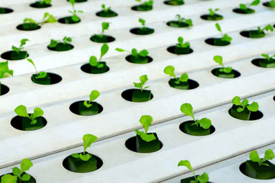 High angle view of food on table