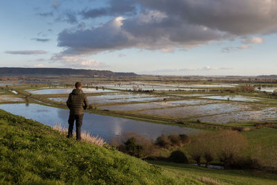 Rear view of man standing on land against sky