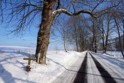 Bare trees on snow covered landscape