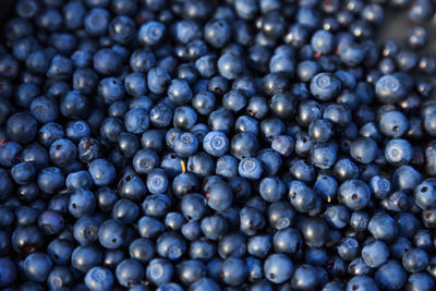 Full frame shot of blueberries