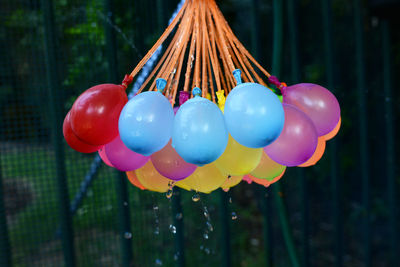 Close-up of balloons hanging on wood